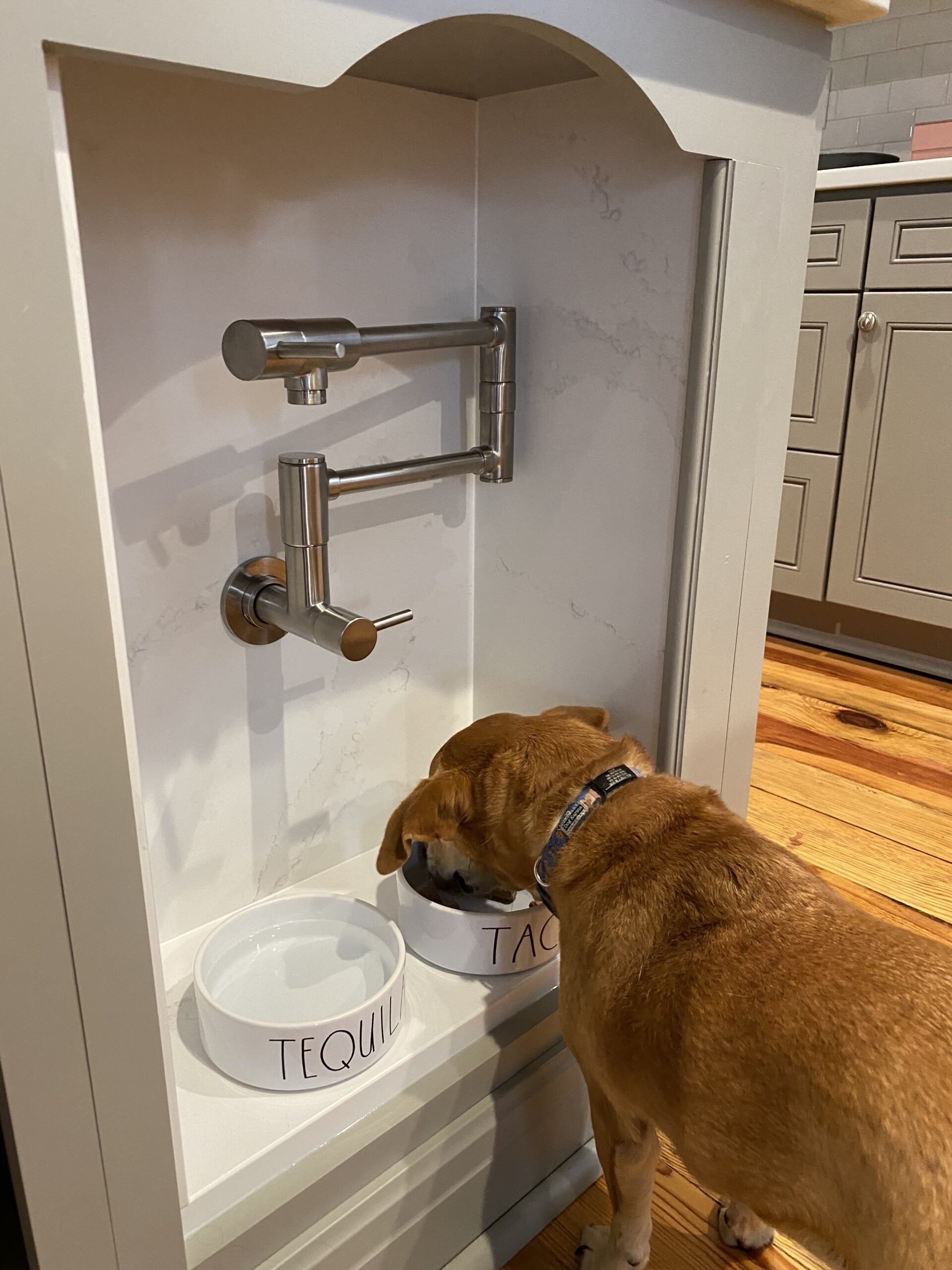 Built-in dog bowl area